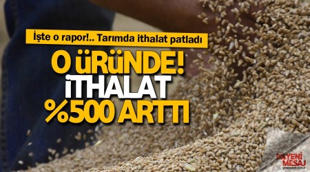 Ayçiçeği ithalatı yüzde 500 arttı