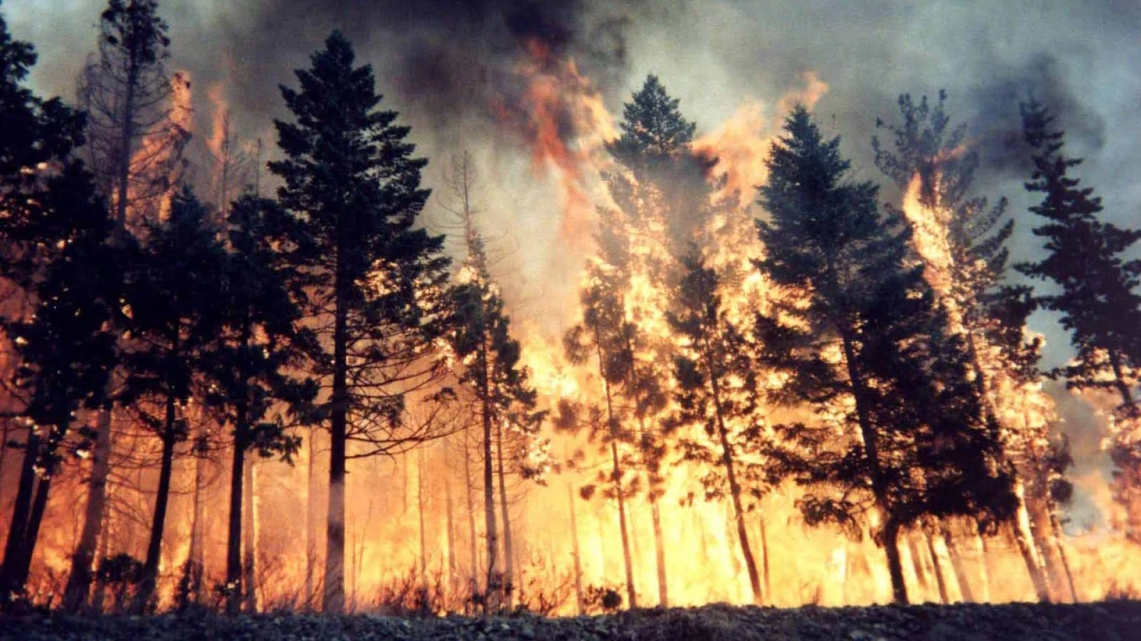 Orman yangnlarna HA'larla mdahale ediliyor
