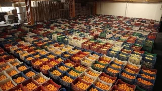 Trkiye nisanda 211.5 milyon dolarlk ya meyve sebze ihra etti