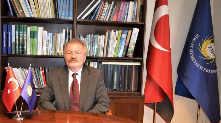 Gıdada denetim de cezalar da yetersiz