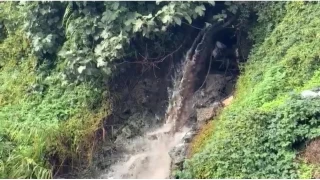 Gemlik Körfezi'nde kirlilik endişeye yolaçıyor