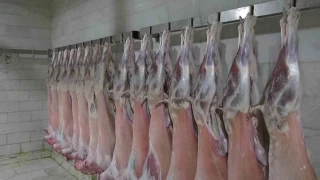Bu ilçede yetiştirilen etler Türkiye'de beğeniyle tüketiliyor