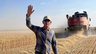 Çiftçiler Buğday Fiyatlarından Şikayetçi