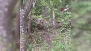 Karabkte ay kapana yakaland