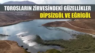 TOROSLARIN ZRVESNDEK GZELLKLER