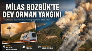 Milas'ta orman yang�n� 