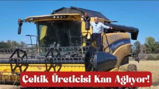 �eltik �reticisi peri�an
