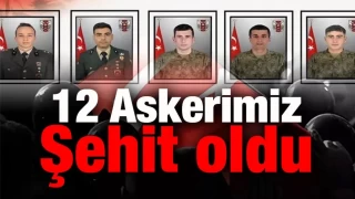 12 askerimiz ehit dt.