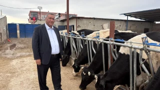 CHP Niğde Milletvekili Ömer Fethi Gürer, “Köyler değişiyor, hayvancılıkta dertler aynı. Ahırda sorun çözülmeden ithalat bitmez. Et ve süt için çözüm yerli üretimdir" dedi