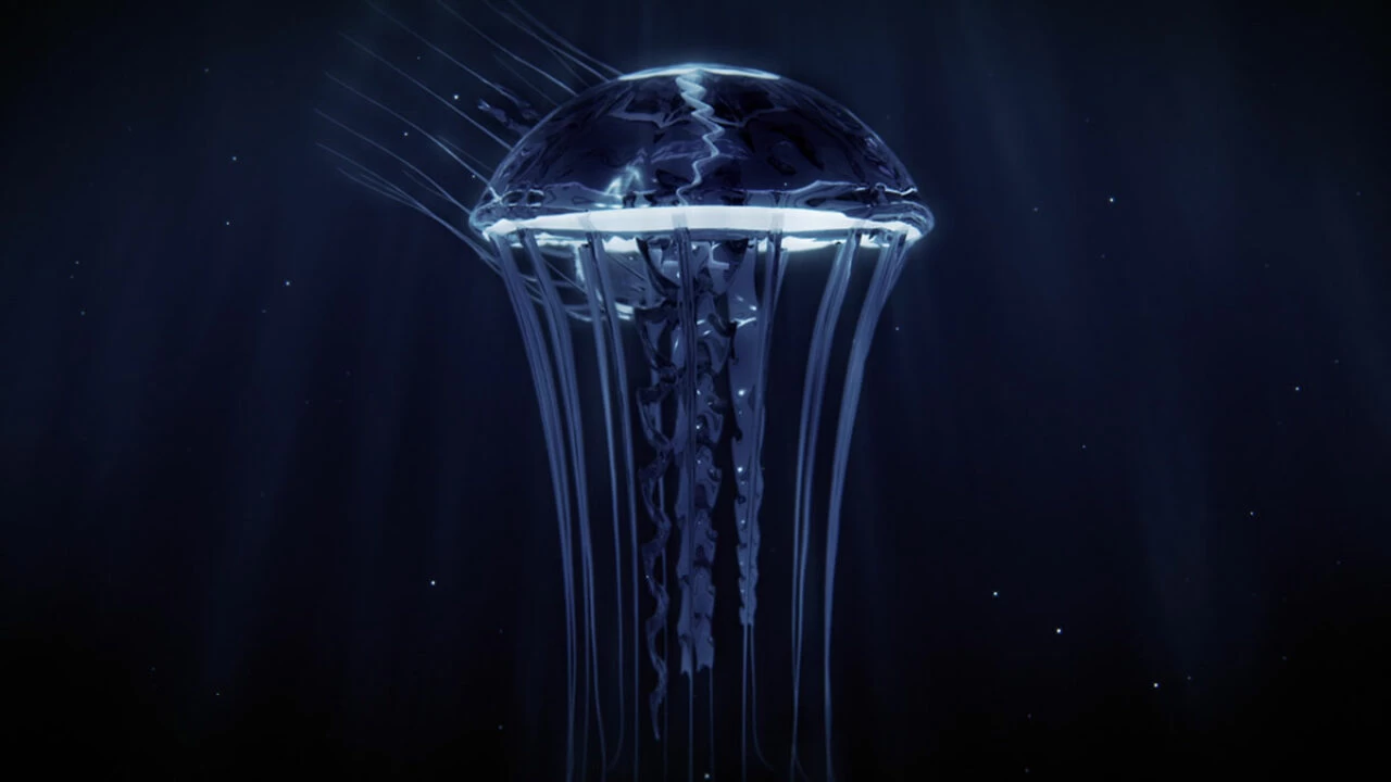 Denizlerde ya�ayan en �l�mc�l canl�lar