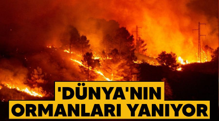 'Dnya'nn ormanlar yanyor