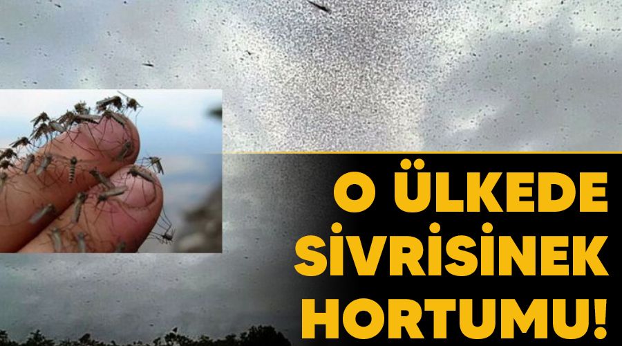O ülkede sivrisinek hortumu!