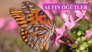 ‘Aniden ölüm meleği geldi’
