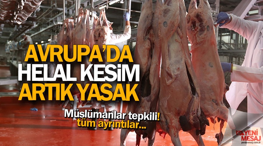 Avrupa'da helal kesim yasa�� ba�lad�