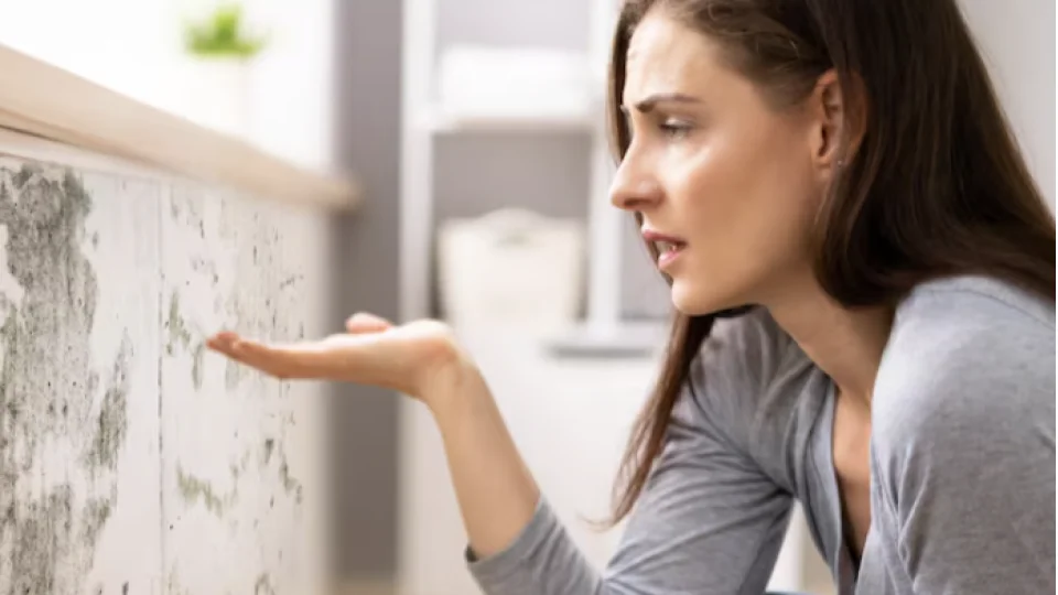 Evdeki K�f, Solunum Sa�l���n� Tehdit Ediyor