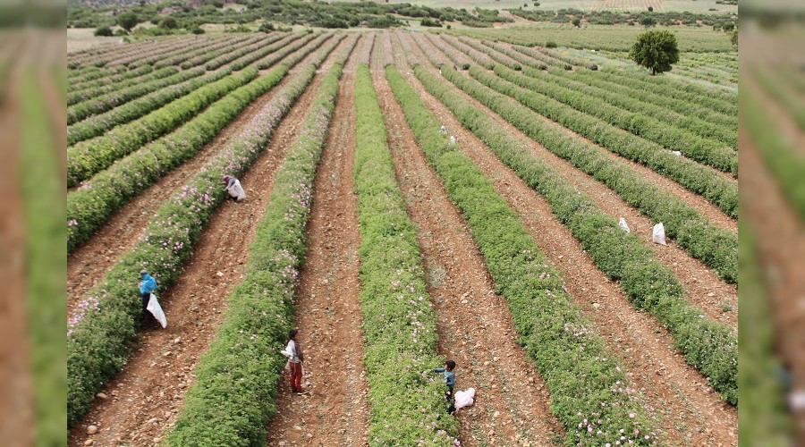 Isparta Alt�n� depolarda al�c�s�n� bekliyor