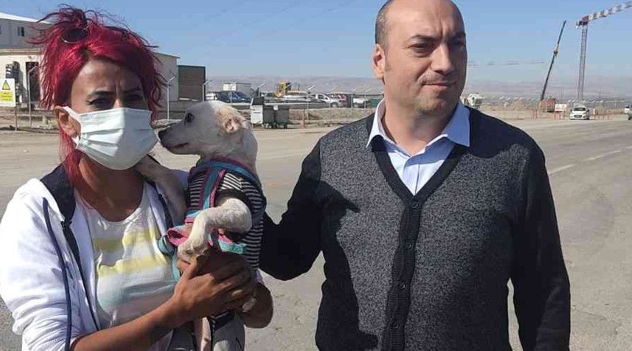 Köpekleri poşetleyip bagaja koyan çalışanın iş akdi fesih edildi