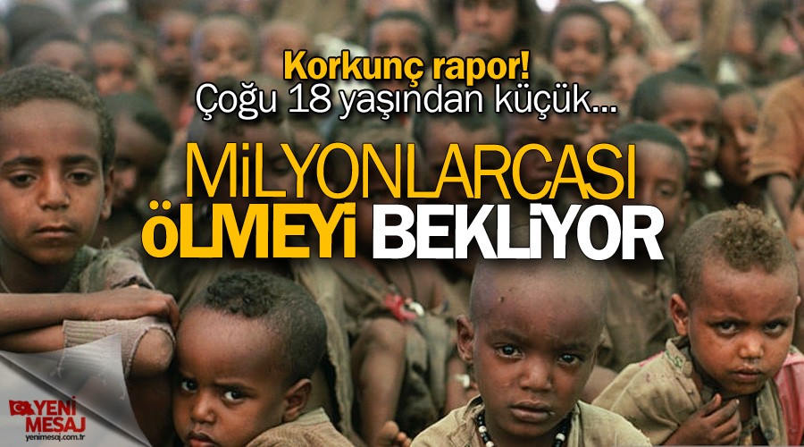 Korkunç rapor! Etiyopyalı çocukların yüzde 88’i...