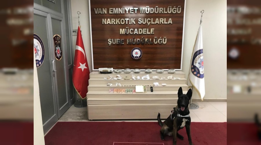 Narkotik Zeus uyu�turucu av�nda