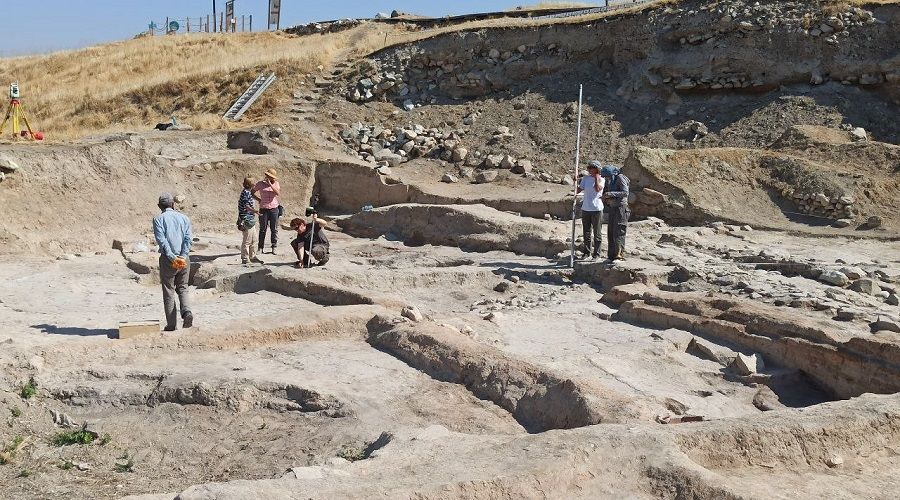 Arslantepe'de 5 bin yıllık tohumlar ortaya çıkarıldı