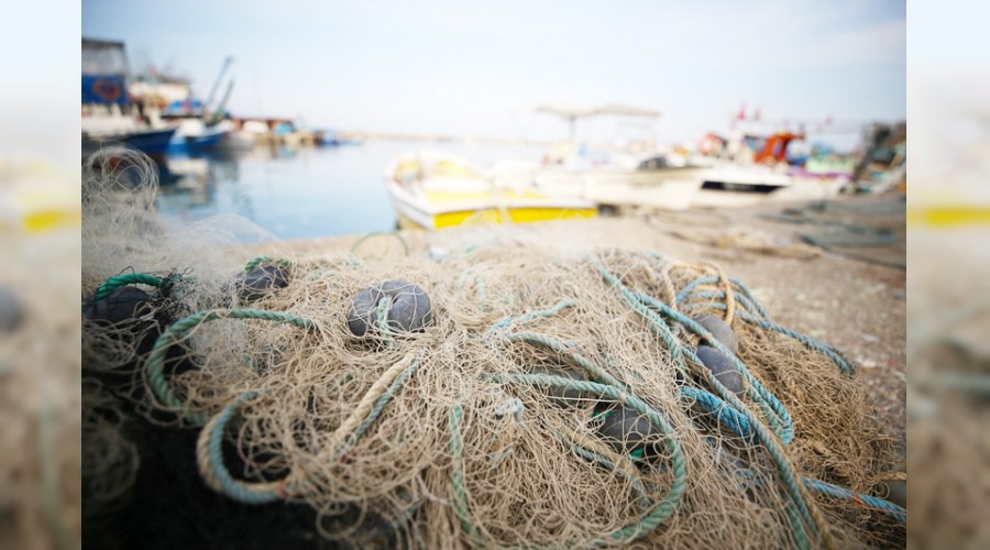 Bal�klar s�caktan havyar�n� d�kemedi