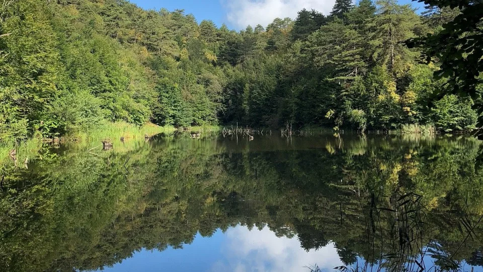 Dipsiz G�l: Marmara�n�n kalbinde sakl� bir cennet