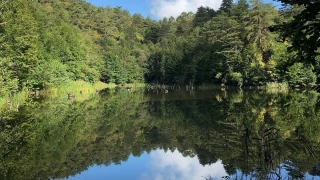 Dipsiz G�l: Marmara�n�n kalbinde sakl� bir cennet