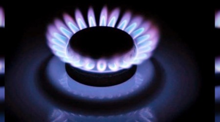 Doal gaz lisansnda e-bavuru dnemi