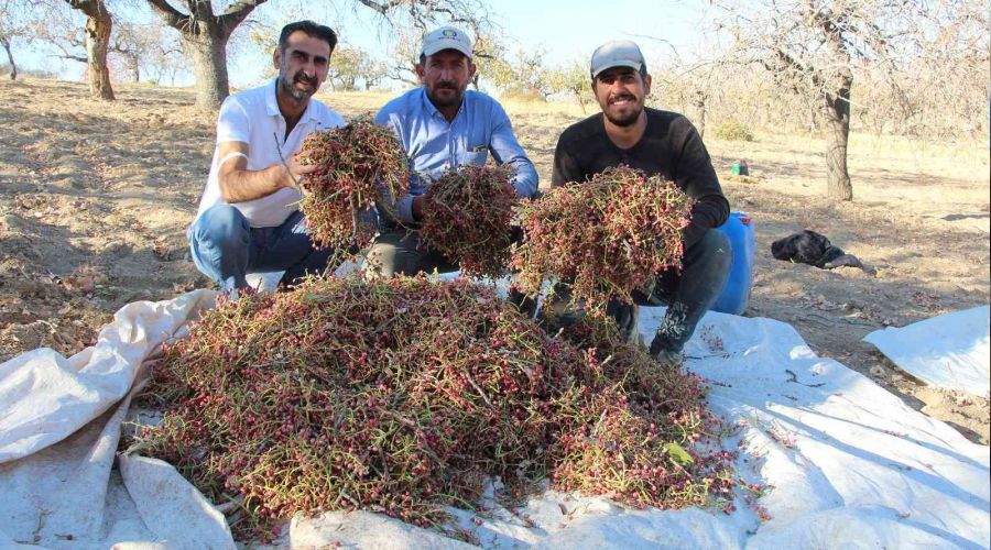 Fiyat� alt�nla yar���yor