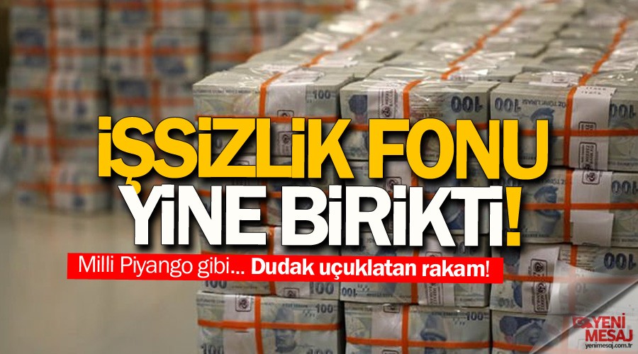 sizlik Fonu'nda 127 milyar lira birikti