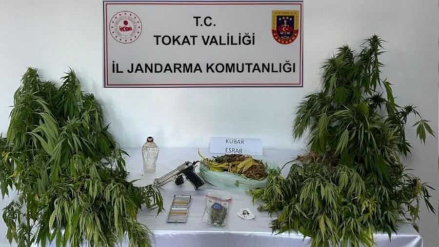 Ormana ekti, yakay ele verdi