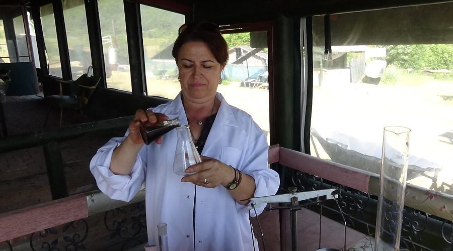 Osmanlı'nın savaş iksiri "Kantaron Yağı"