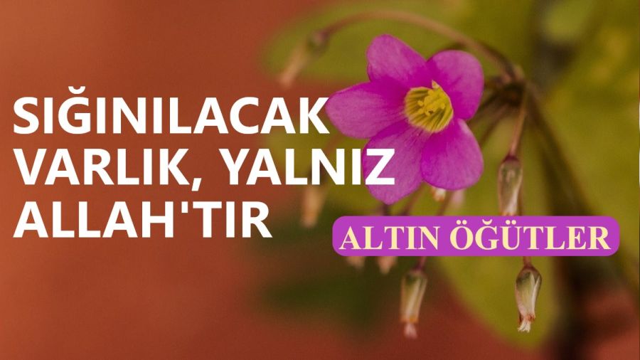 Sığınılacak varlık, yalnız Allah’tır