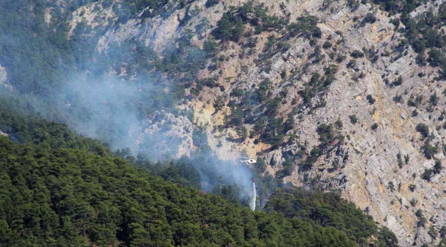 Y�ld�r�m d��mesi sonucu ��kan orman yang�n�na m�dahale ediliyor