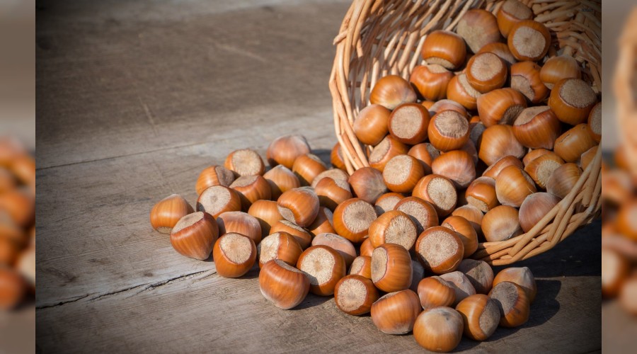 115 �lkeye f�nd�k ihracat�