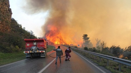 800 arı kovanı kül oldu