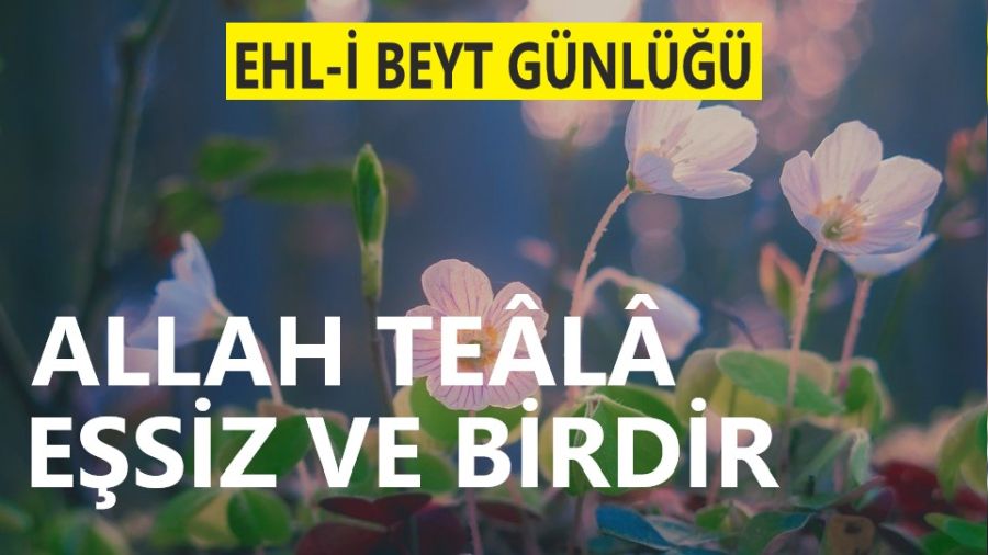 Allah Teâlâ eşsiz ve birdir