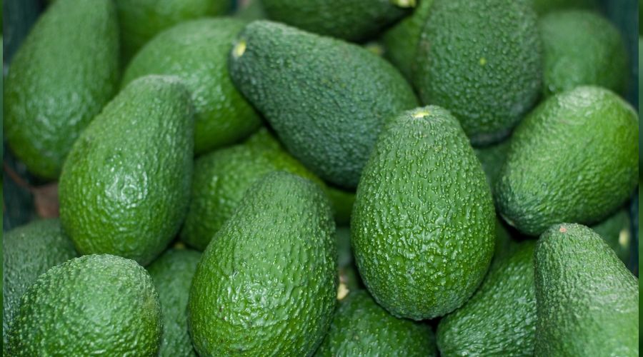 Avokado satışları muzu geçecek!