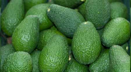 Avokado satışları muzu geçecek!