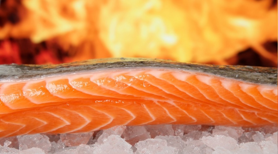 Bağışıklık için Omega-3 tavsiyesi