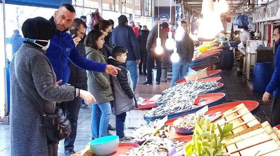 Balk halinde hamsi bolluu yaanyor