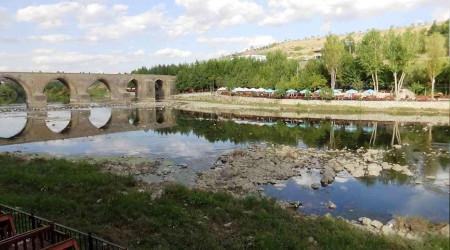 Dicle Nehri'ndeki balık ölümleri tedirgin ediyor