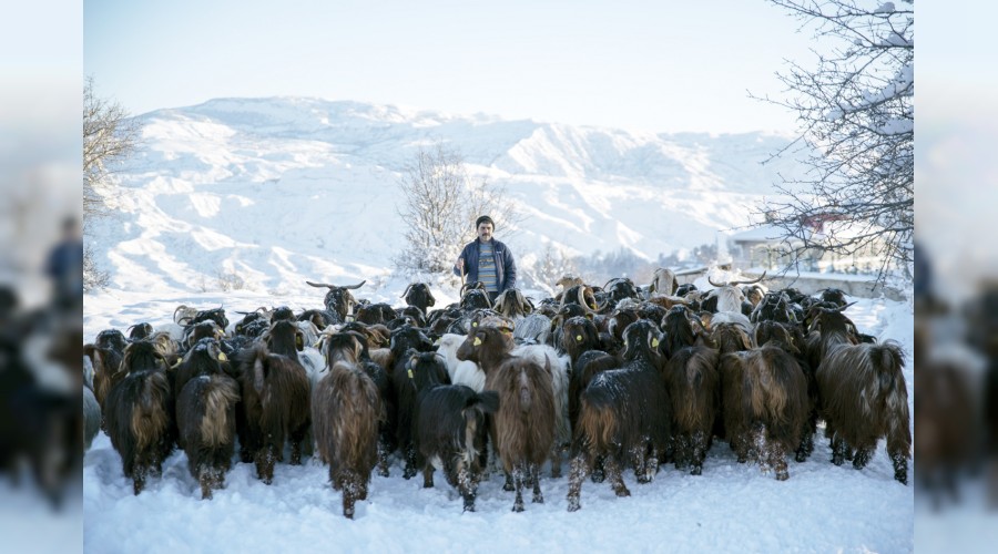 Doğu Karadeniz kar altında