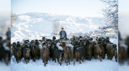 Doğu Karadeniz kar altında