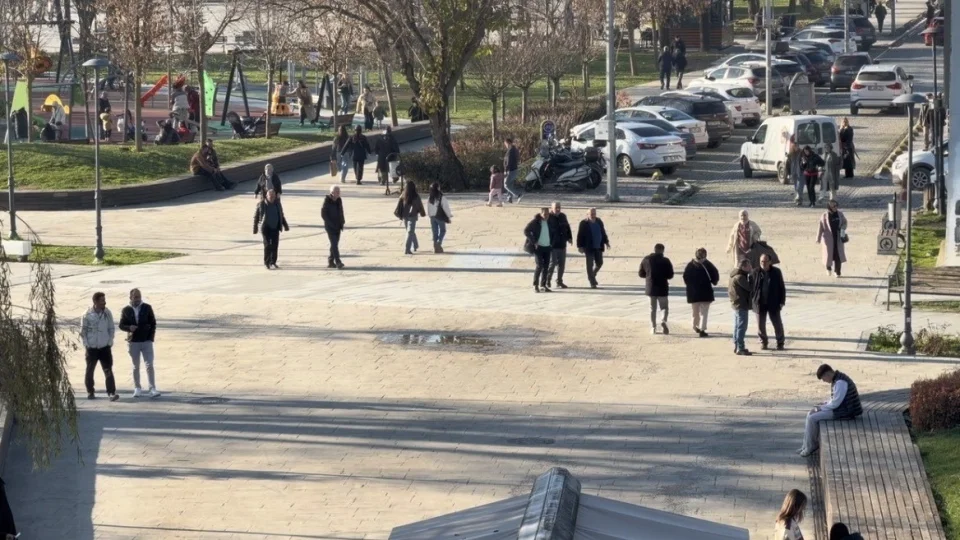 Domuz gribi vakalar�nda art��