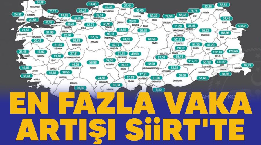 En fazla vaka art Siirt'te