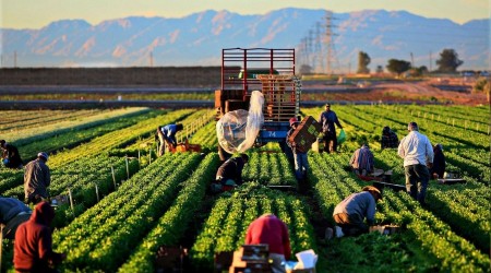 Gençler tarımla uğraşmalı