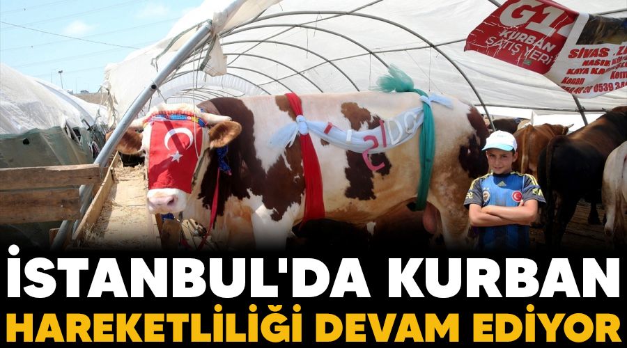 İstanbul'da, kurban hareketliliği devam ediyor