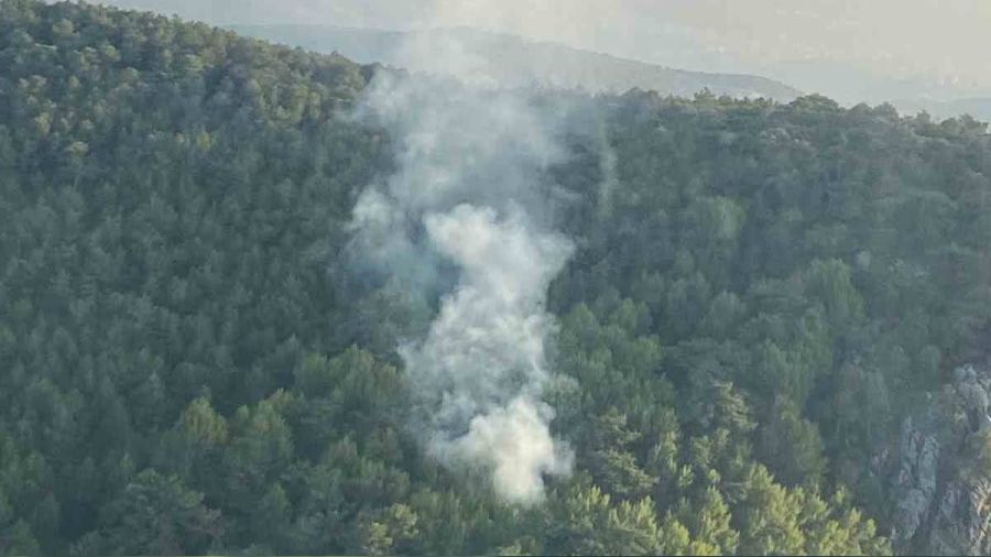 İzmir'de yangın 58 dakikada kontrol altında