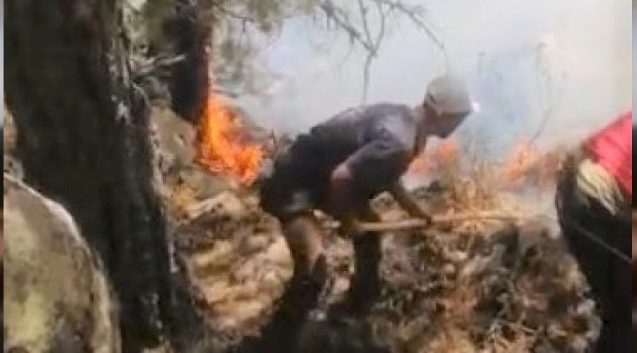 Kütahya'daki orman yangını kontrol altına alındı